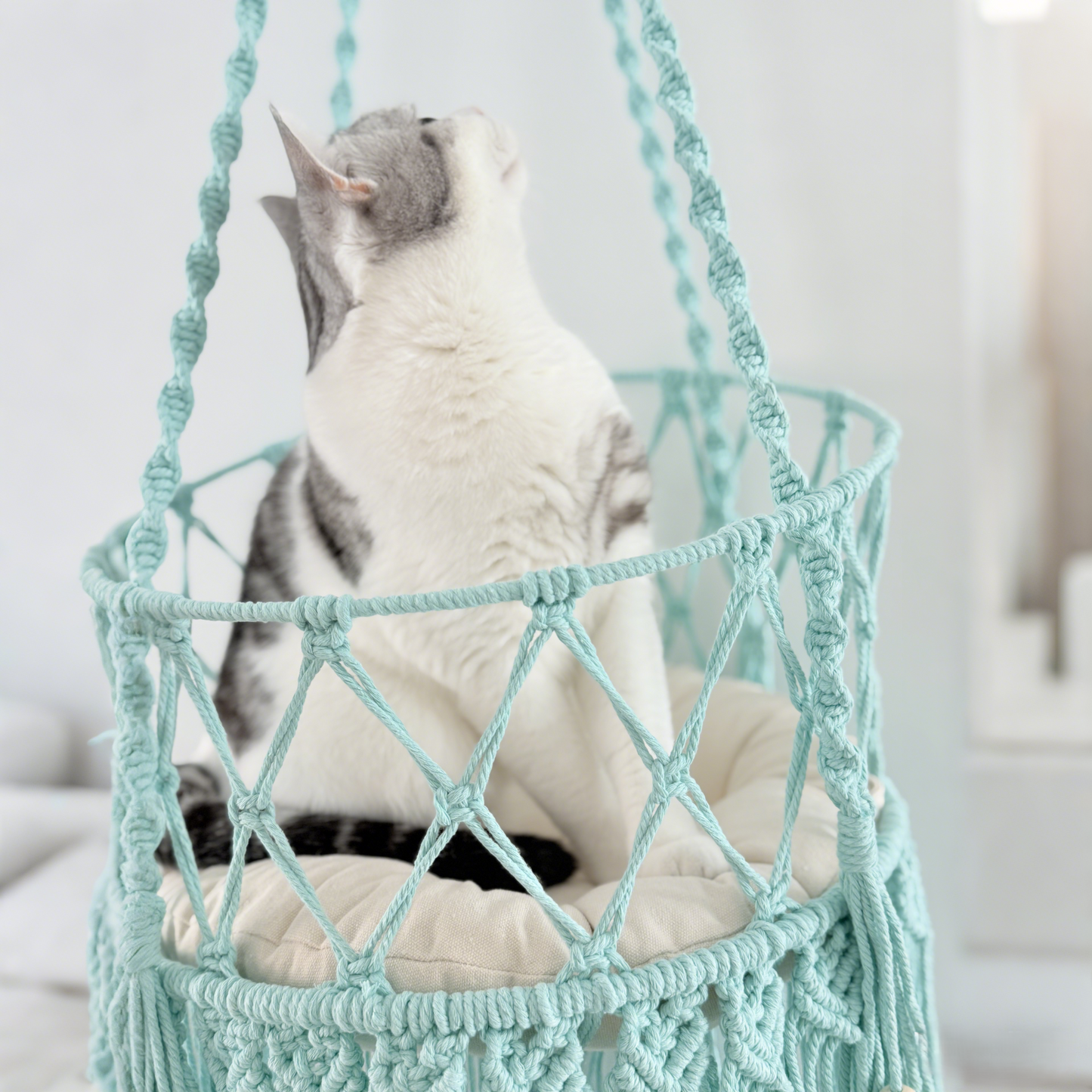Handmade Macramé Cat Hammock, Baby Blue Hanging Cat Bed, Boho Cat Furniture, Cotton Rope Cat Swing for Indoor Cats
